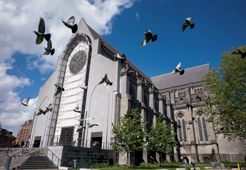 cathedralepigeons